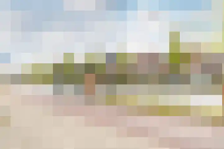 Hartschelp 10 Diemen thumbnail 33