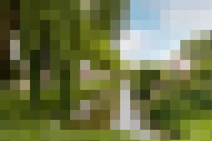 Hartschelp 10 Diemen thumbnail 34