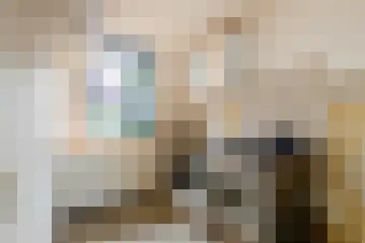 Hartschelp 10 Diemen thumbnail 8