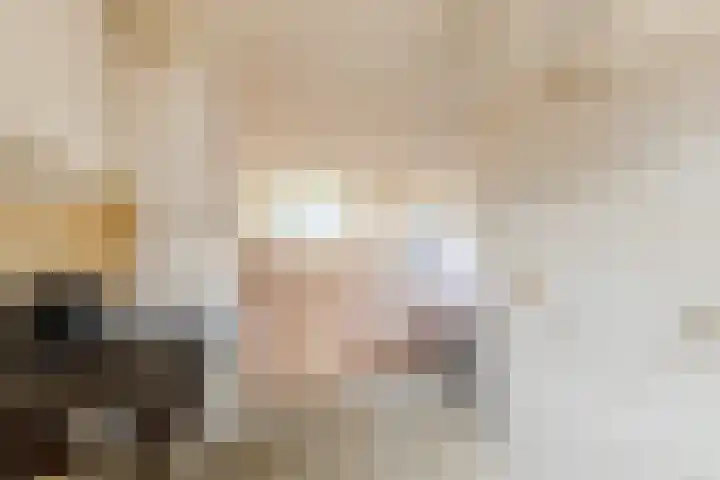 Hartschelp 10 Diemen thumbnail 9