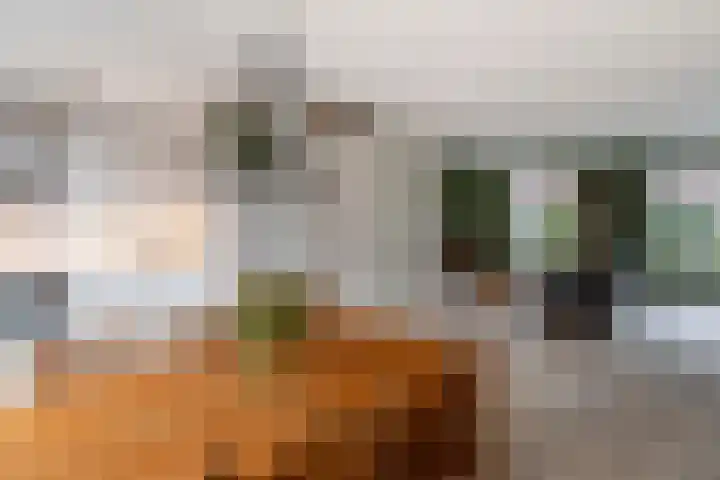 Hartschelp 11 Monster thumbnail 13