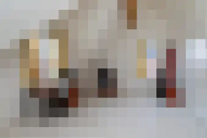 Hartschelp 11 Monster thumbnail 31