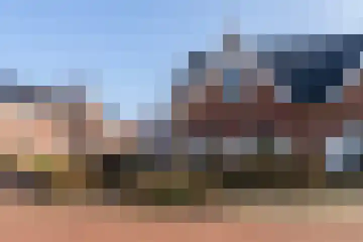 Hartschelp 11 Monster thumbnail 34