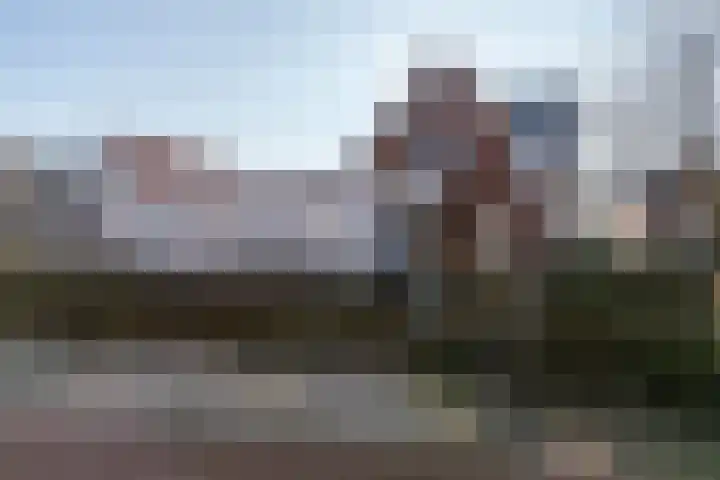 Hartschelp 11 Monster thumbnail 35