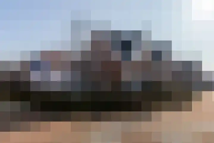 Hartschelp 11 Monster thumbnail 36