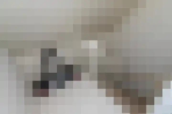Hartschelp 11 Monster thumbnail 38