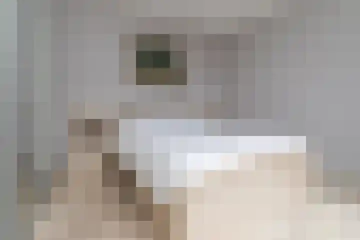 Hartschelp 11 Monster thumbnail 41