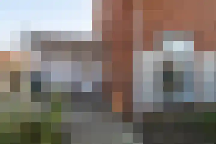 Hartschelp 11 Monster thumbnail 5