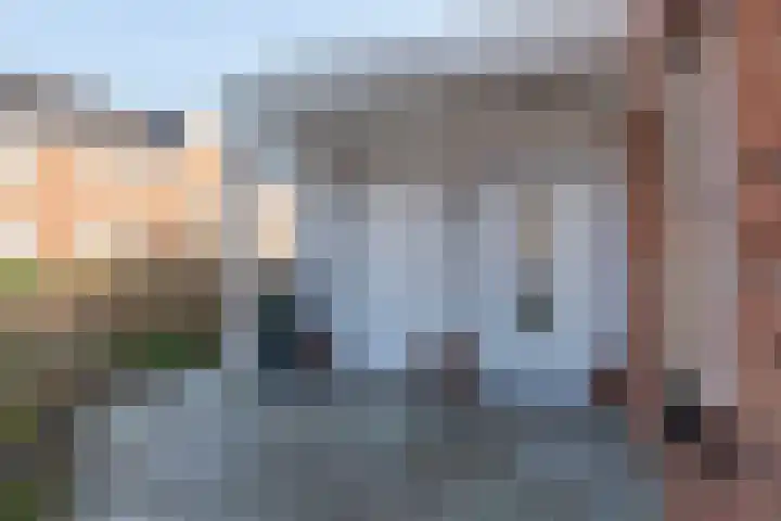 Hartschelp 11 Monster thumbnail 6