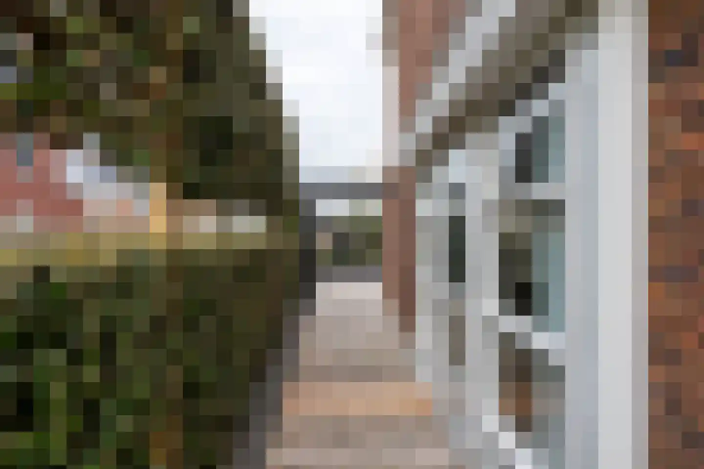 Hartschelp 30 Monster thumbnail 29