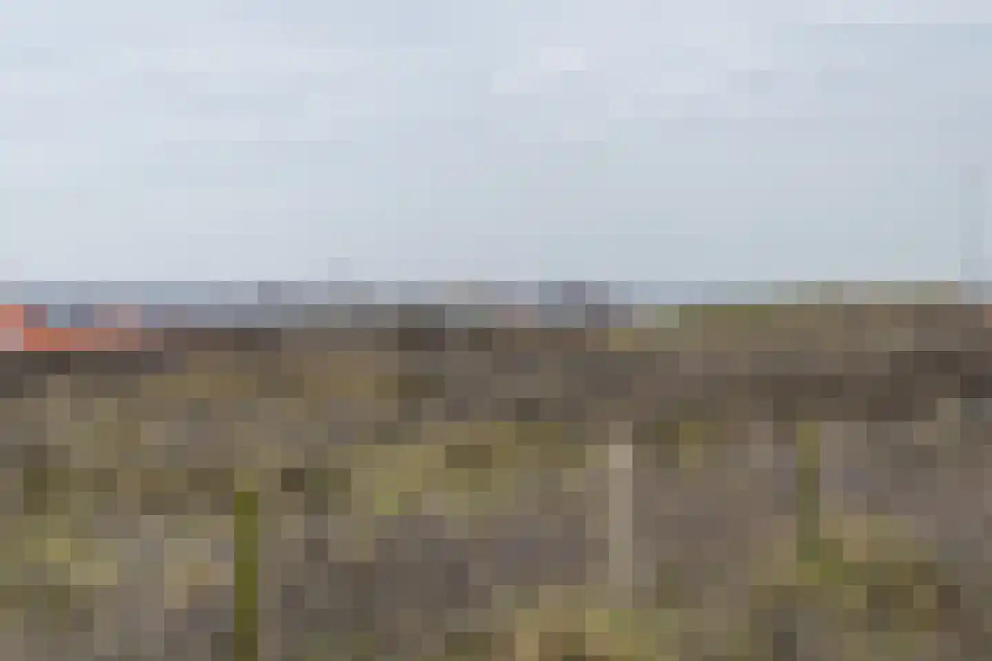 Hartschelp 30 Monster thumbnail 60