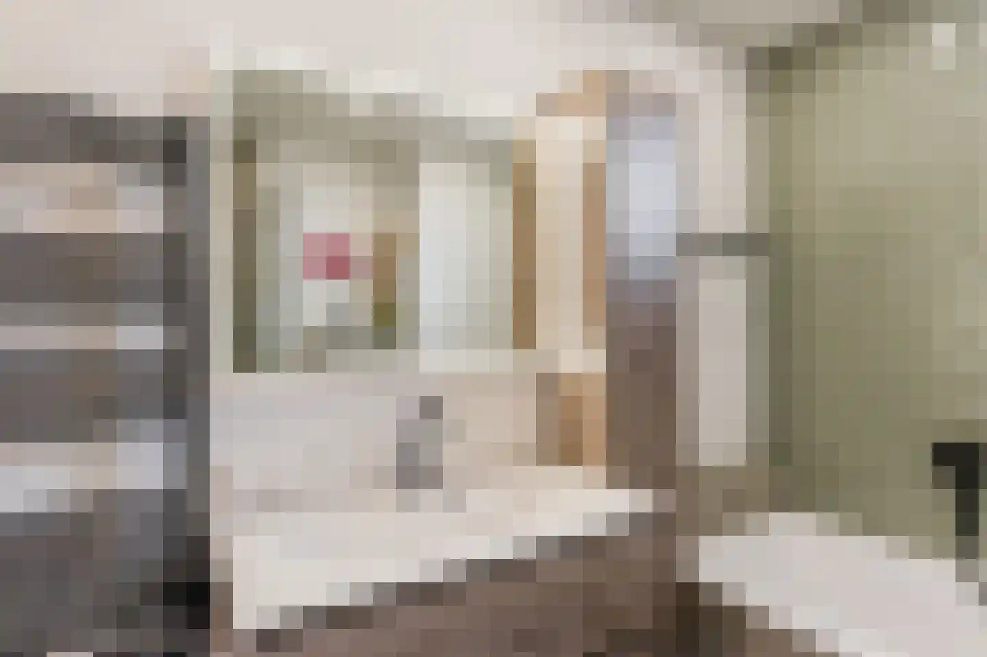 Hartschelp 37 Diemen thumbnail 24