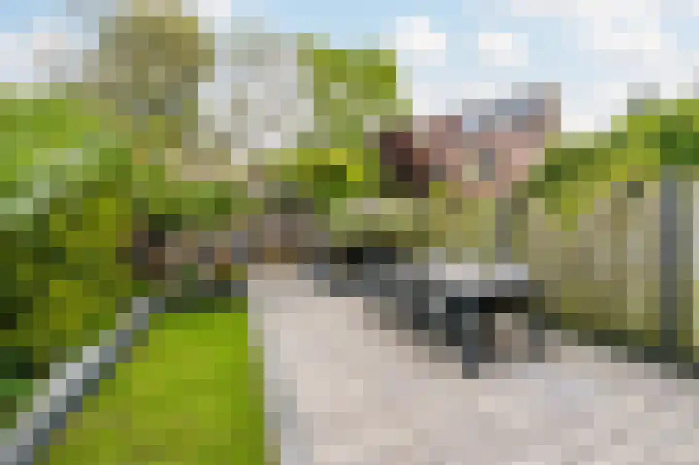 Hartschelp 37 Diemen thumbnail 35