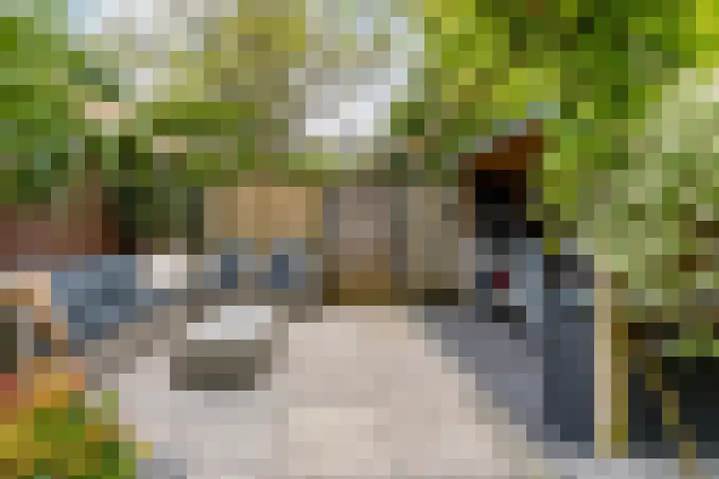 Hartschelp 37 Diemen thumbnail 37