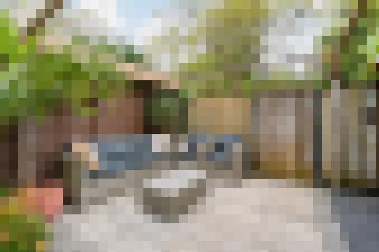 Hartschelp 37 Diemen thumbnail 38