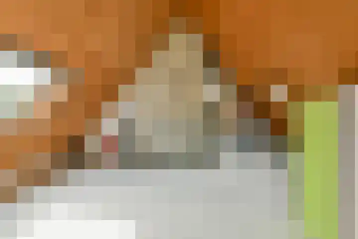 Hartschelp 43 Diemen thumbnail 20