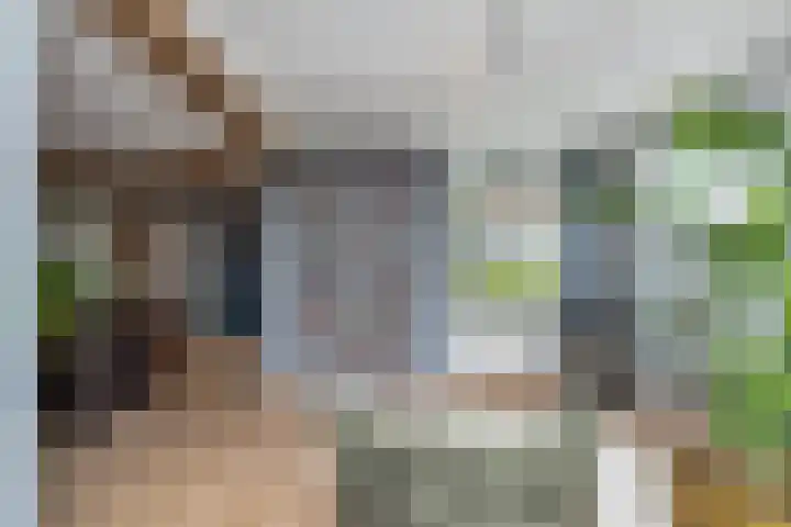 Hartschelp 43 Diemen thumbnail 24