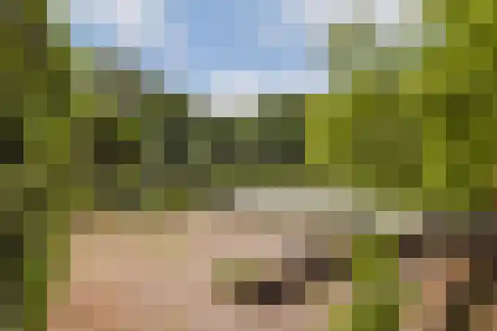 Hartschelp 43 Diemen thumbnail 24
