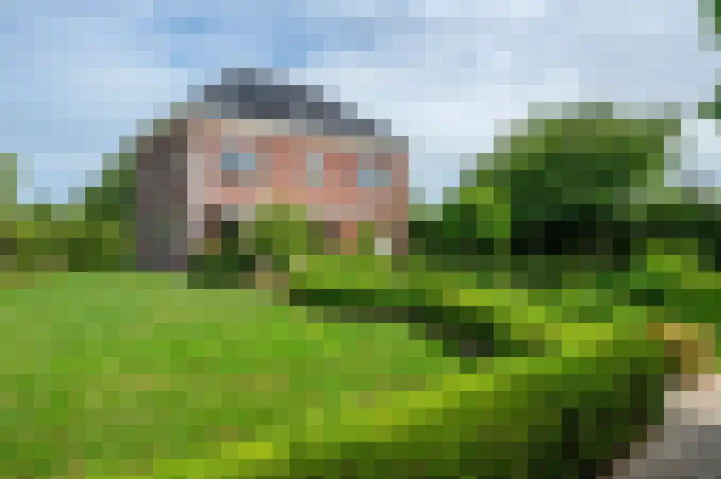 Hartschelp 43 Diemen thumbnail 29