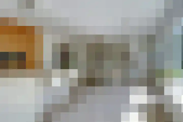 Hartschelp 43 Diemen foto 3