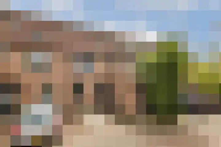 Hartschelp 43 Diemen thumbnail 39