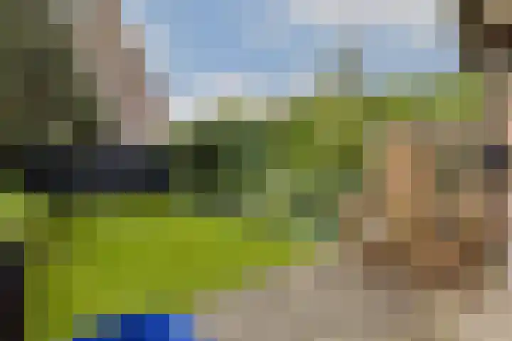 Hartschelp 43 Diemen thumbnail 8