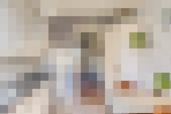 Hartschelp 43 Diemen thumbnail 9