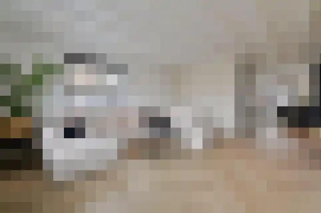 Hartweg 15 Soest thumbnail 4