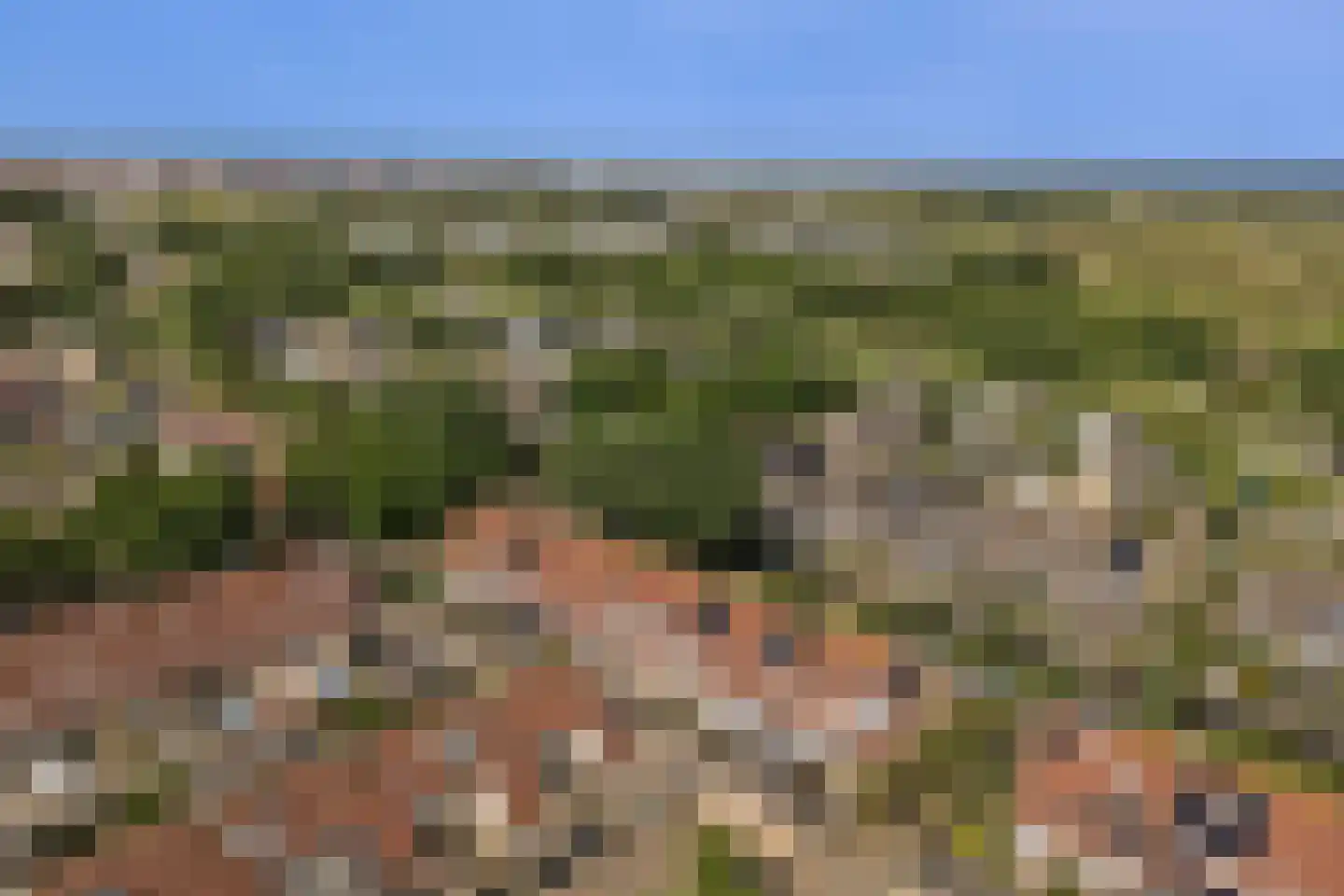 Hartweg 29 Katwijk thumbnail 41