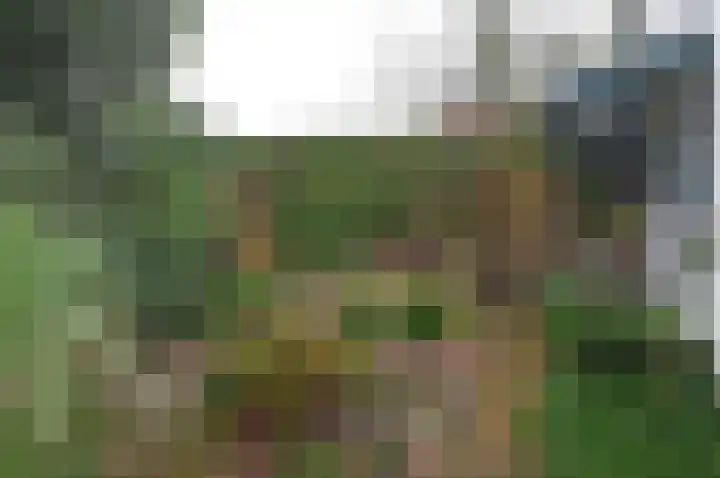 Hartweg 40 Soest thumbnail 17