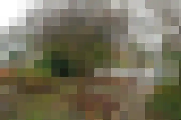 Hartweg 40 Soest thumbnail 19