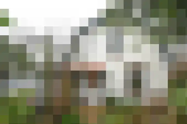Hartweg 40 Soest thumbnail 20