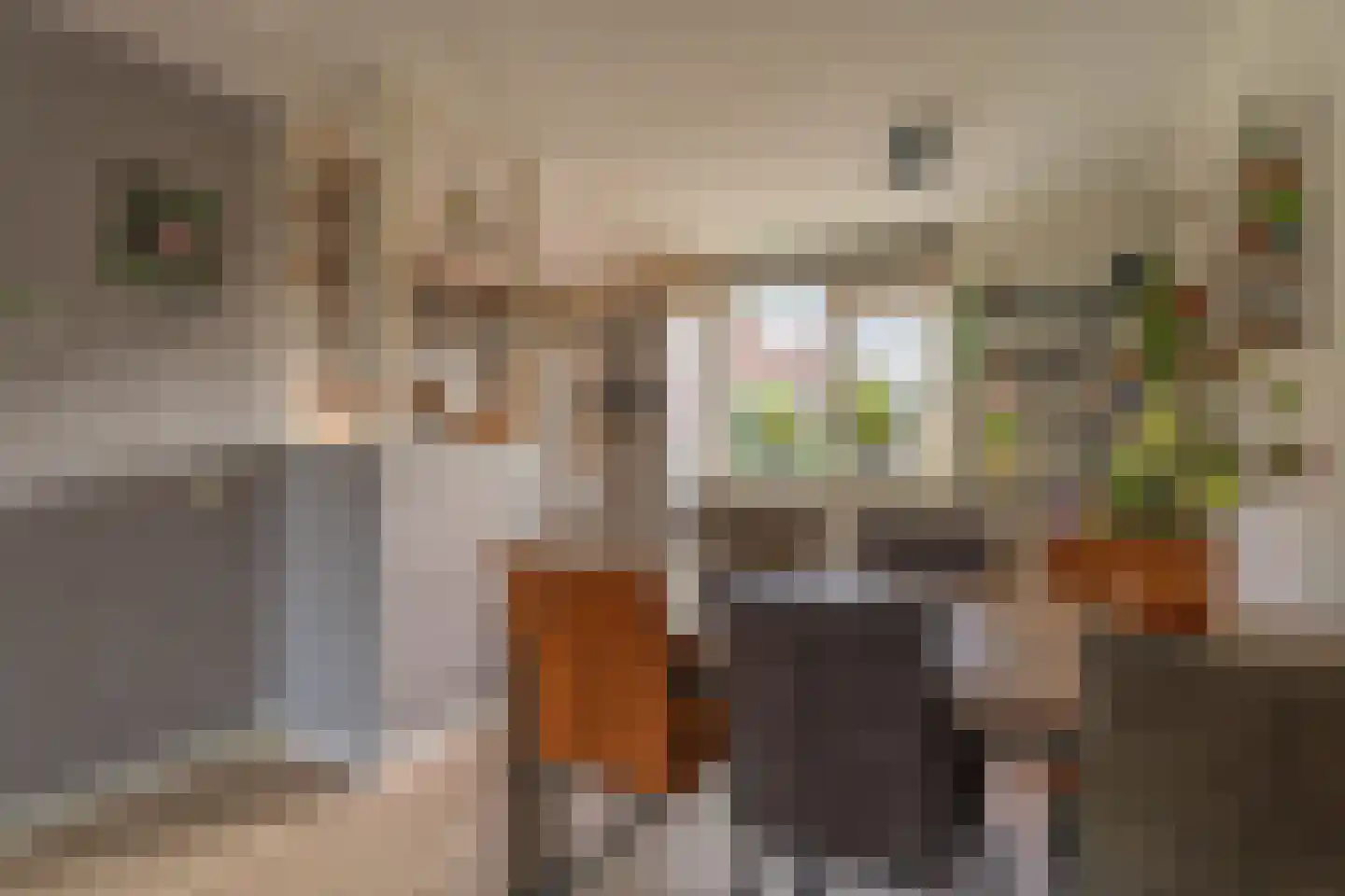 Hartweg 41 Katwijk thumbnail 6