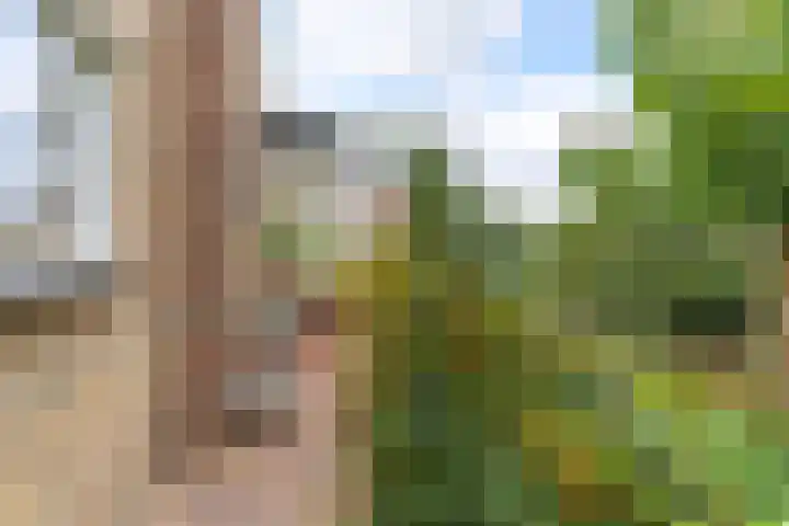 Hartweg 42 Soest thumbnail 38