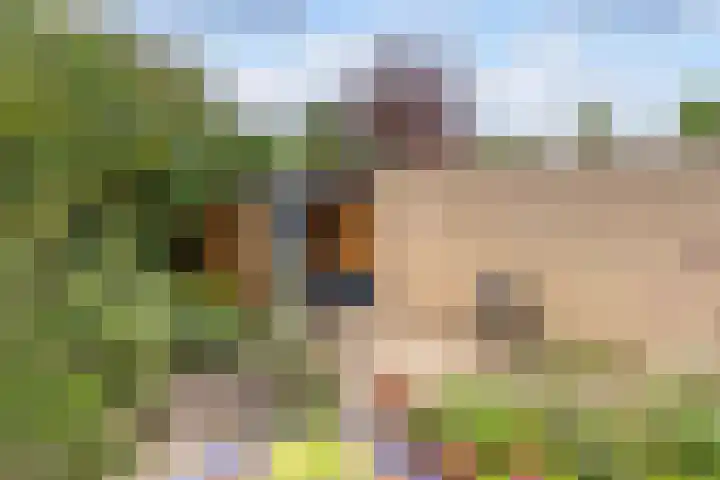 Hartweg 42 Soest thumbnail 40