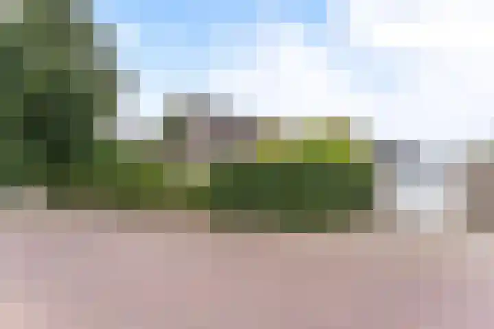 Hartweg 42 Soest thumbnail 42