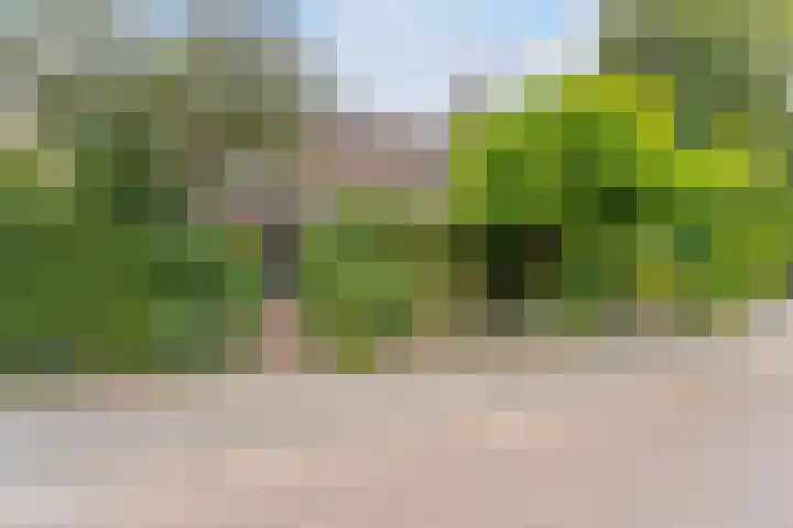 Hartweg 42 Soest thumbnail 44