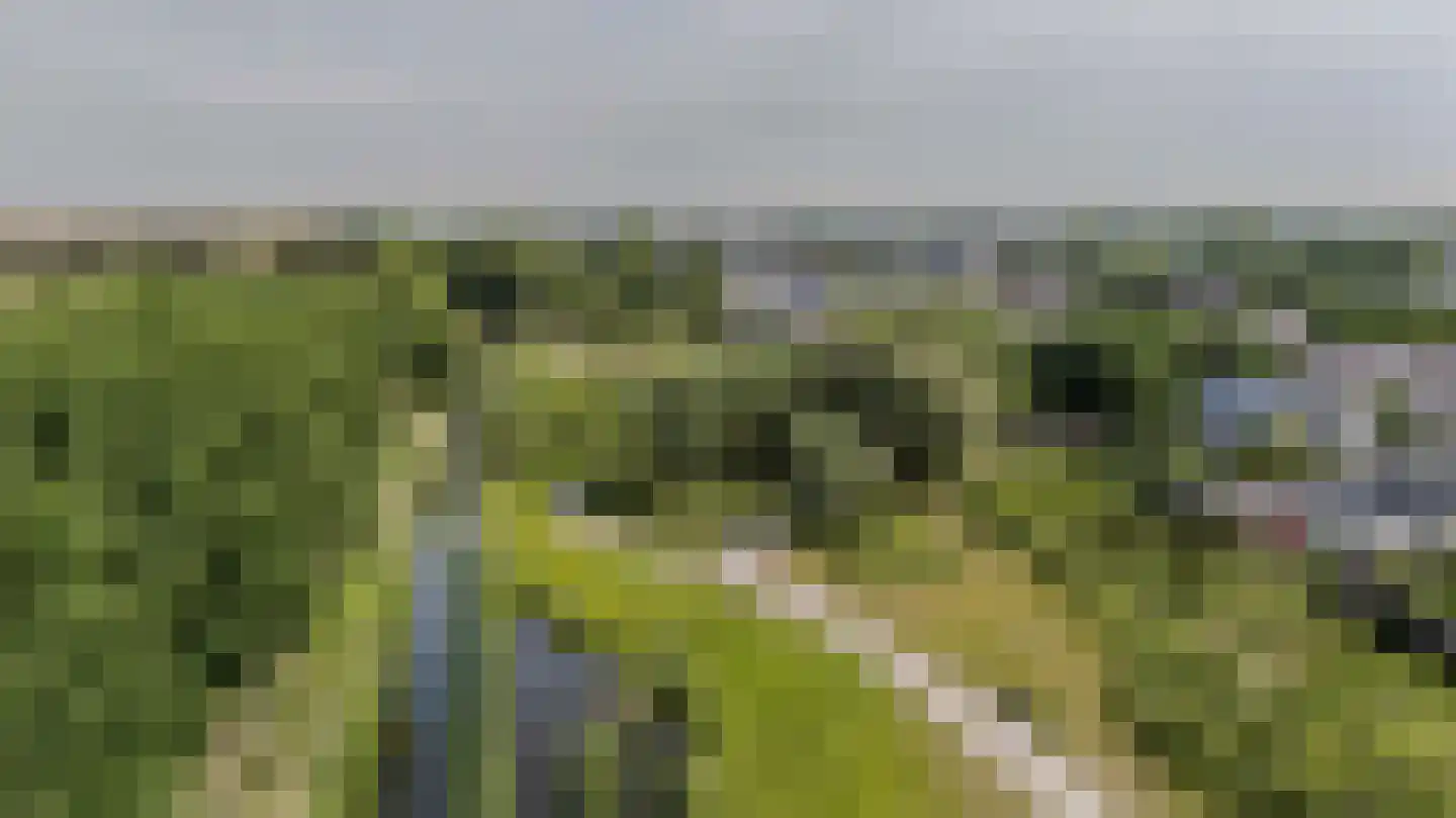 Hartweg 57 Katwijk thumbnail 43