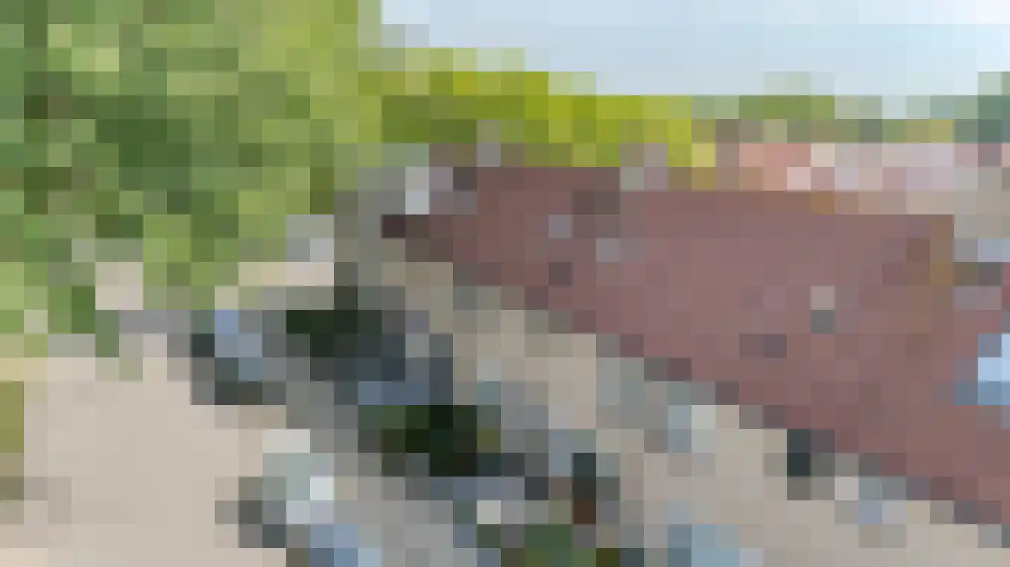 Hartweg 57 Katwijk thumbnail 7