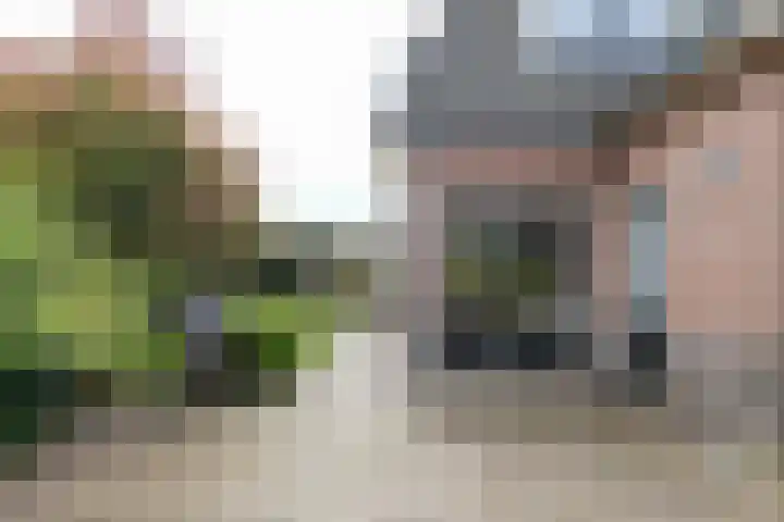 Hartweg 60 Soest thumbnail 22