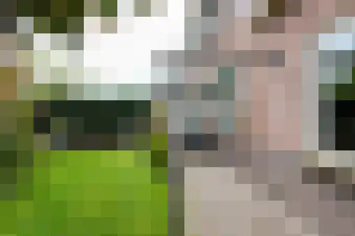 Hartweg 60 Soest thumbnail 23