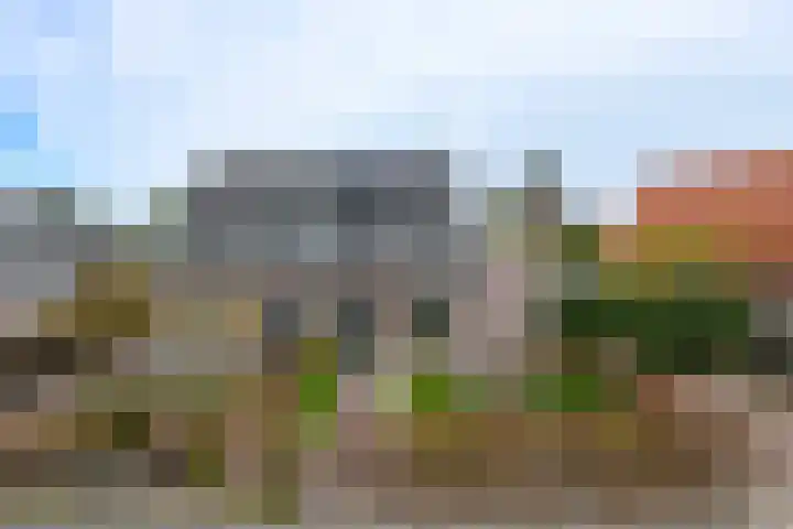 Hartweg 60 Soest thumbnail 29