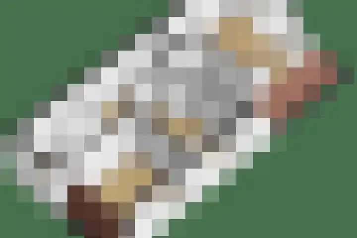 Hartweg 60 Soest thumbnail 35