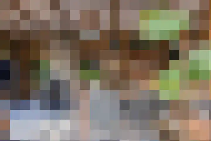 Hartweg 8 Nieuwe Niedorp thumbnail 10