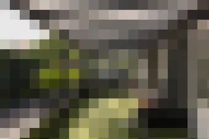 Hartweg 8 Nieuwe Niedorp thumbnail 21