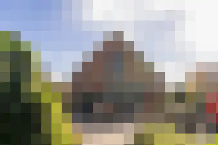 Hartweg 8 Nieuwe Niedorp thumbnail 30