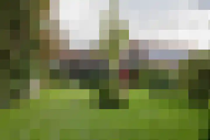 Hartweg 8 Nieuwe Niedorp thumbnail 4