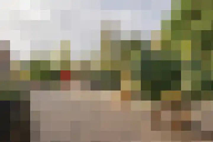 Hartweg 8 Nieuwe Niedorp thumbnail 42