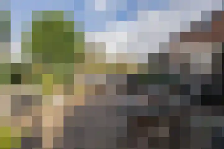 Hartweg 8 Nieuwe Niedorp thumbnail 43