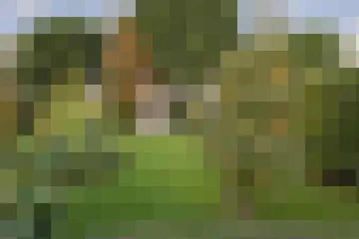 Hartweg 8 Nieuwe Niedorp thumbnail 47